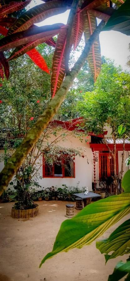 Ella Jungle Inn Homestay And Tree House Zewnętrze zdjęcie