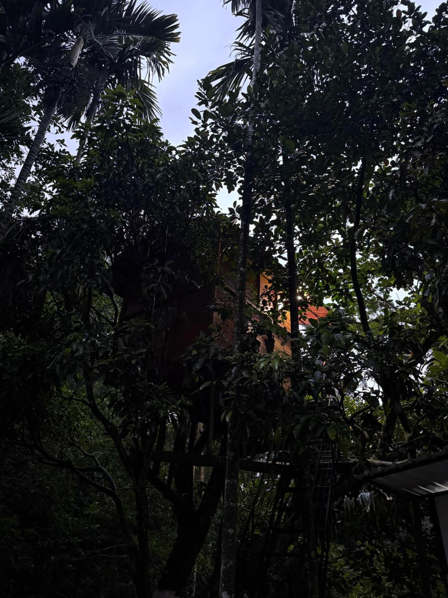 Ella Jungle Inn Homestay And Tree House Zewnętrze zdjęcie